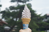 【夏季限定】ソフトクリームのご案内《終了》