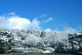 雪景色1