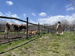 GWのご案内