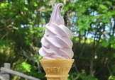 【季節限定】いちごソフトクリーム