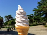 【季節限定】もも・ヨーグルトソフトクリーム